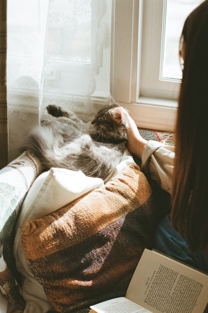 cozy cat and girl reading
