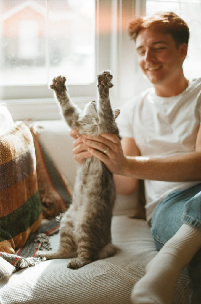 cat stretch on film