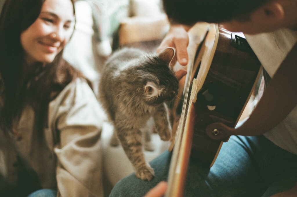 cat, couple, and guitar film photo