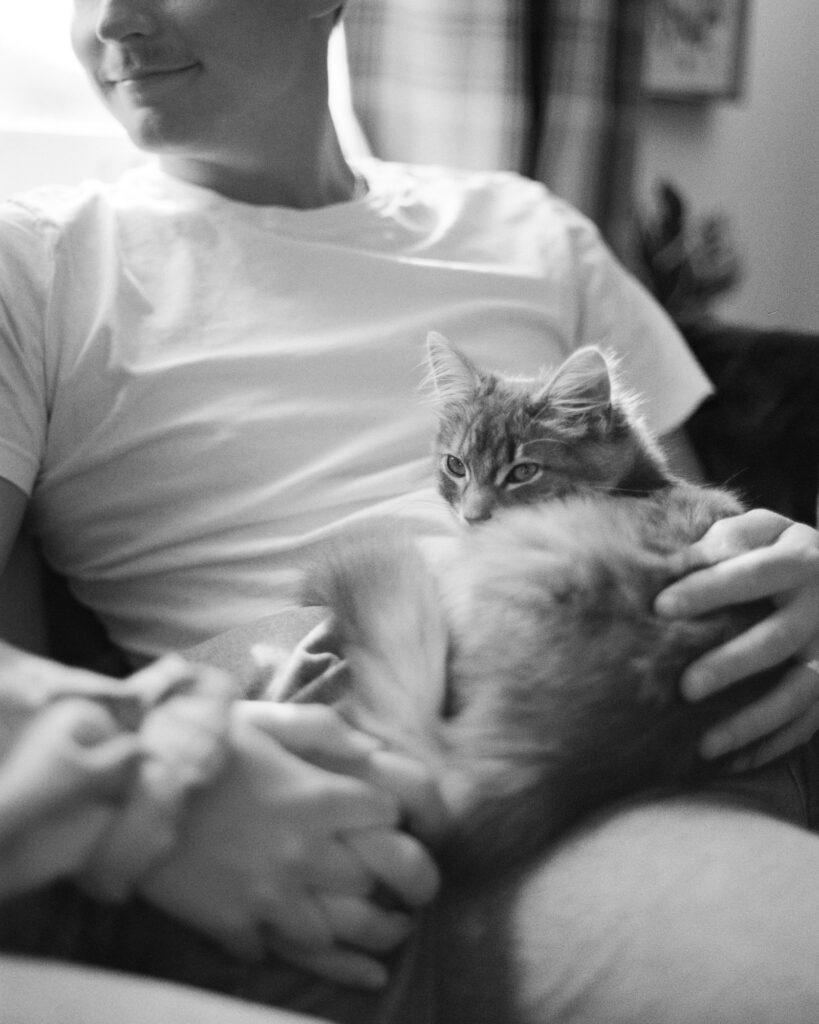 cozy couple with cat on couch