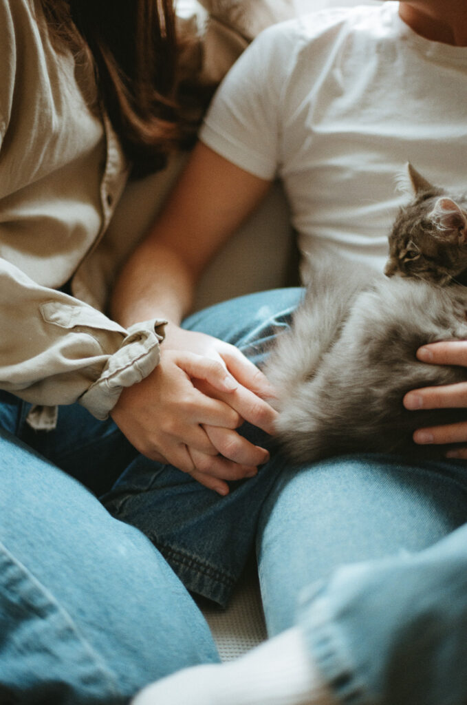 cozy couple with cat on couch