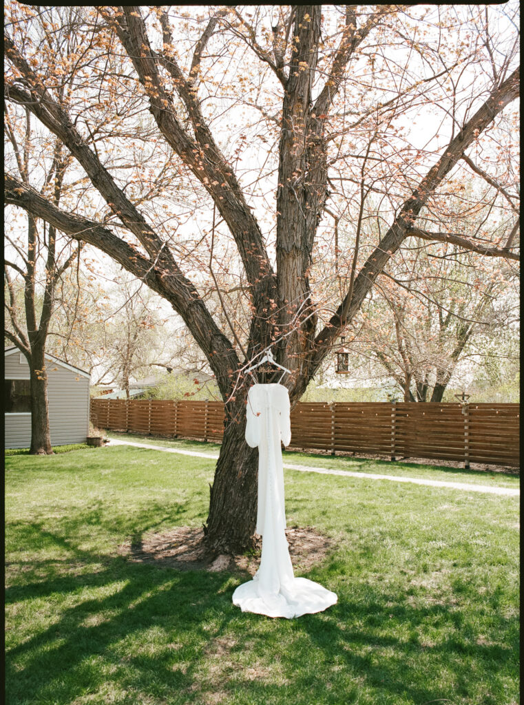 wedding dress hanging from tree at backyard wedding
